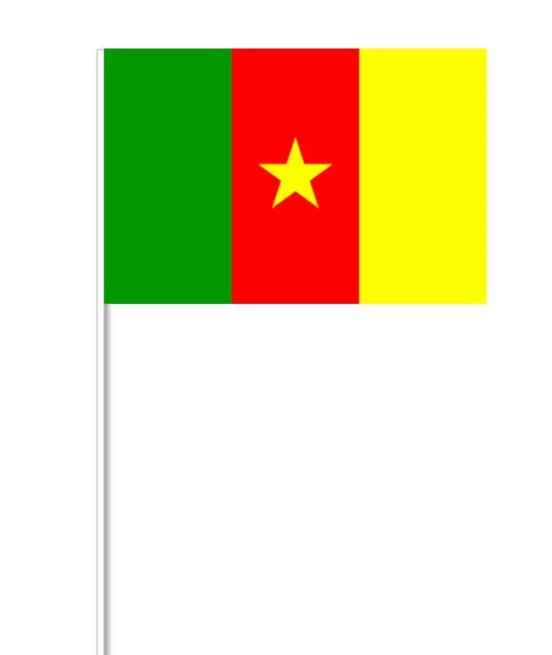 Kamerunsk pappersflagga på pinne, 27 x 20 cm