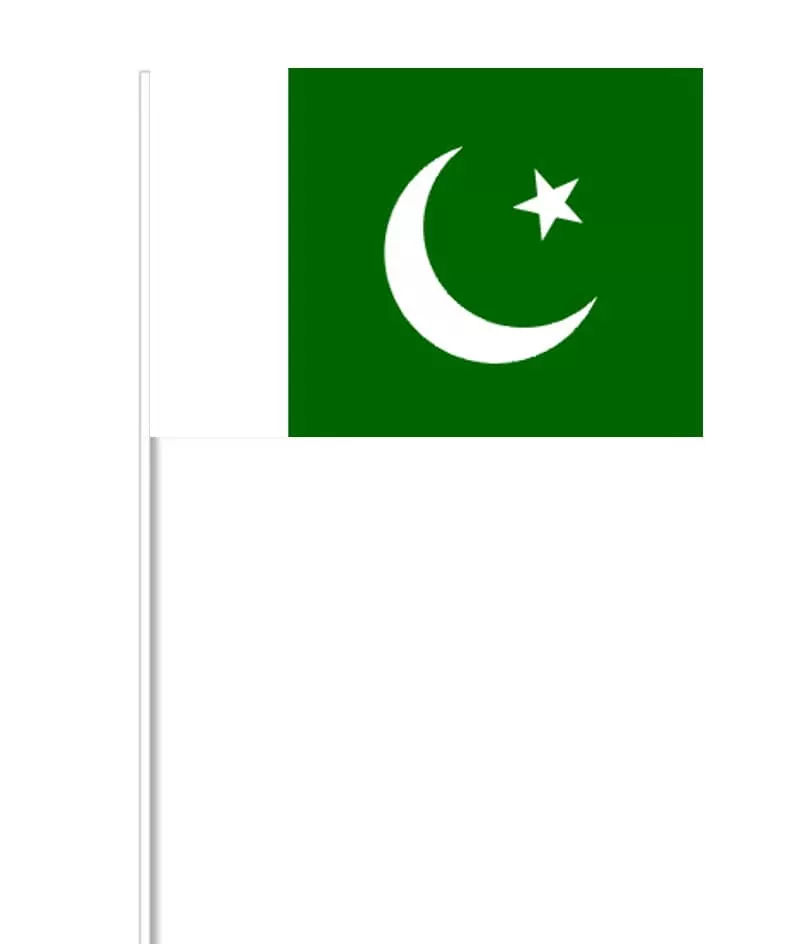Pakistanska Paper Flag på Stick, 27 x 20 cm